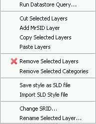 Layer menu.jpg